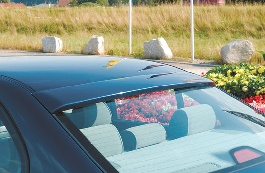 BMW E39 Rear Window Shade Spoiler Rieger Tuning